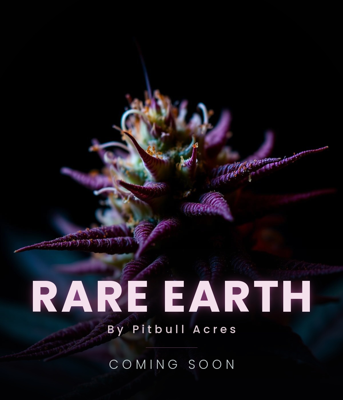 coming soon